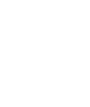 light logo